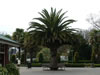 Botanical Gardens, Christchurch 