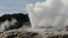Te Puia geyser, Prince of Wales (because of the feather effect) 