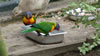 Rainbow Springs &ndash; Parakeet 