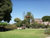 San Diego Old Town Vegetation 