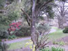 Botanical Gardens, Christchurch 