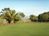 View from the an older house garden