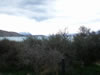 Lake Tekapo 
